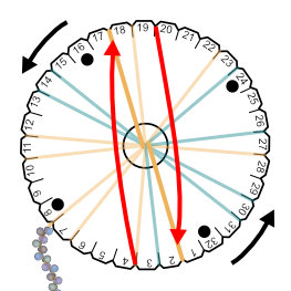 Kumihimo Sundew Bracelet Instructions