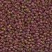 11-301:  HALF PACK 11/0 Dark Topaz Rainbow Gold Luster Miyuki Seed Bead approx 125 grams - 11-301_1/2pk