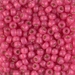 6-4239:  HALF PACK 6/0 Duracoat Dyed Hibiscus S/L Alabaster Miyuki Seed Bead approx 125 grams - 6-4239_1/2pk