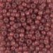 6-4245:  HALF PACK 6/0 Duracoat Silverlined Dyed Nutmeg Miyuki Seed Bead approx 125 grams - 6-4245_1/2pk