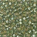 6-4273:  HALF PACK 6/0 Duracoat Silverlined Dyed Willow Miyuki Seed Bead approx 125 grams - 6-4273_1/2pk