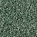 DB1845:  HALF PACK Duracoat Galvanized Sea Green 11/0 Miyuki Delica Bead 50 grams - DB1845_1/2pk