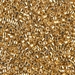 DBM0031:  HALF PACK 24kt Gold Plated 10/0 Miyuki Delica Bead 25 grams - DBM0031_1/2pk