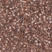 DBM0037:  HALF PACK Copper Lined Crystal 10/0 Miyuki Delica Bead 50 grams - DBM0037_1/2pk
