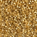 DBM1832:  HALF PACK Duracoat Galvanized Gold 10/0 Miyuki Delica Bead 50 grams - DBM1832_1/2pk