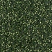 DBS0182:  HALF PACK Silverlined Jade Green 15/0 Miyuki Delica Bead 50 grams - DBS0182_1/2pk