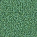 DBS0877:  HALF PACK Matte Opaque Green AB 15/0 Miyuki Delica Bead 50 grams - DBS0877_1/2pk