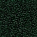 11-156:  11/0 Transparent Dark Emerald Miyuki Seed Bead - 11-156*