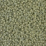 11-4473:  11/0 Duracoat Dyed Opaque Fennel Miyuki Seed Bead 