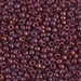 8-313:  8/0 Cranberry Gold Luster Miyuki Seed Bead - 8-313*