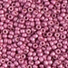 8-4210F:  8/0 Duracoat Galvanized Matte Hot Pink Miyuki Seed Bead approx 250 grams - 8-4210F