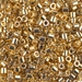DBL-0031:  24kt Gold Plated 8/0 Miyuki Delica Bead   50 Grams - DBL-0031
