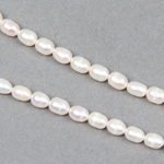 RFP-0172:  Rice Pearl White 5.5-6mm 16 inch 