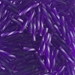 TW2012-1721:  Miyuki 2x12mm Twisted Bugle Bead Dyed Transparent Dark Purple - TW2012-1721*