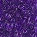 TW206-1721:  Miyuki 2x6mm Twisted Bugle Bead Dyed Transparent Dark Purple - TW206-1721*
